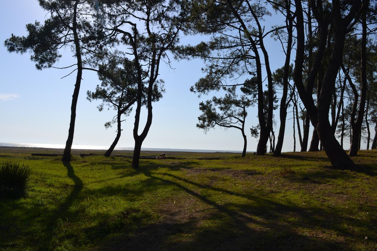 Saba Guest House Ureki Zewnętrze zdjęcie